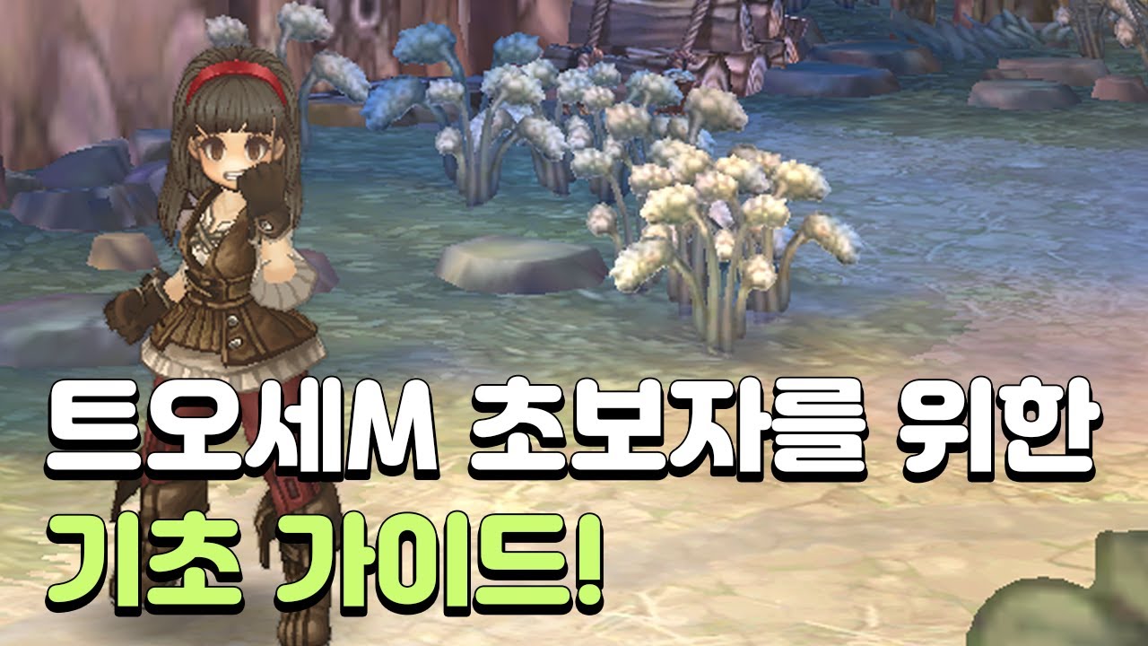 [트오세M] 신규 유저를 위한 기초 가이드! 시즌섭 시작 전에 알아봅시다 (25년 12월판)