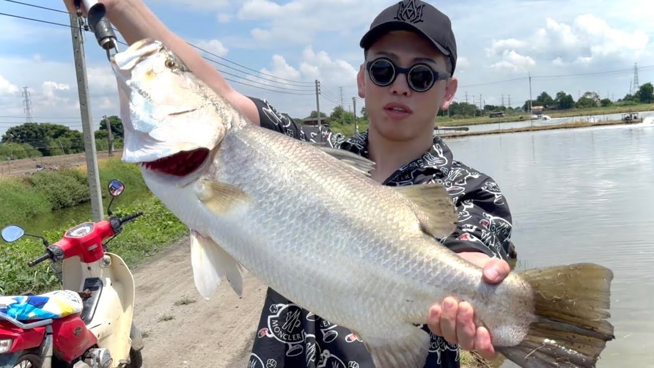 釣り友達と地元で怪魚バラマンディとガチ勝負