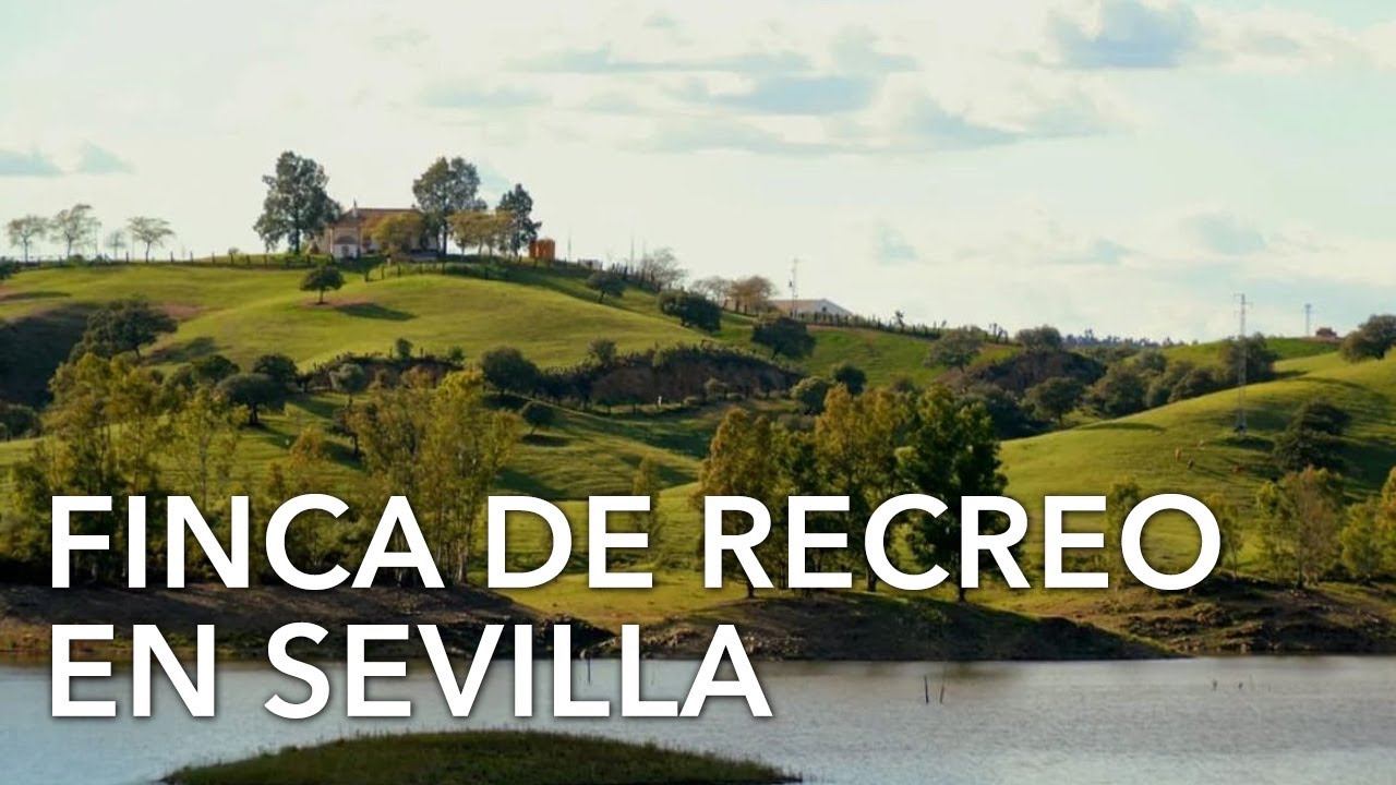 Finca rústica de 79 hectáreas para uso terciario y ganadero en venta en El Condado, Huelva | P2007