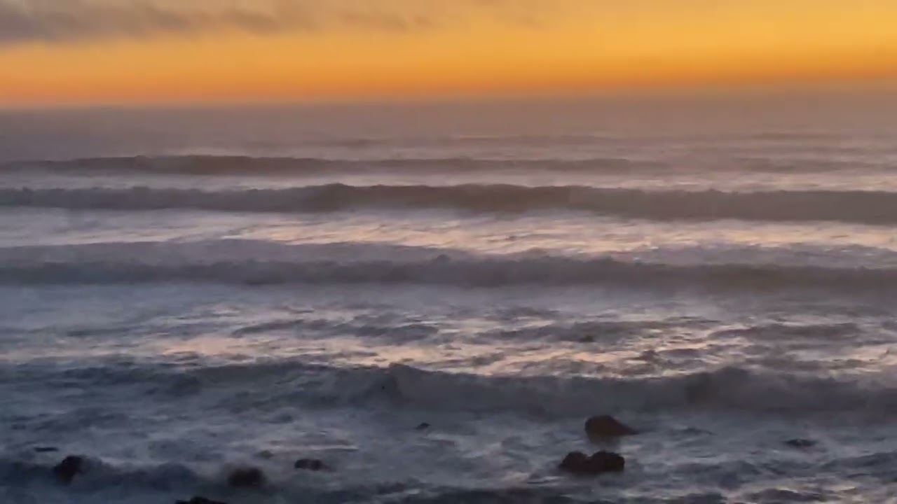 Thinking about these waves north of Bodega Bay, after Friday's shark bite report (Nov. 1, 2025)
