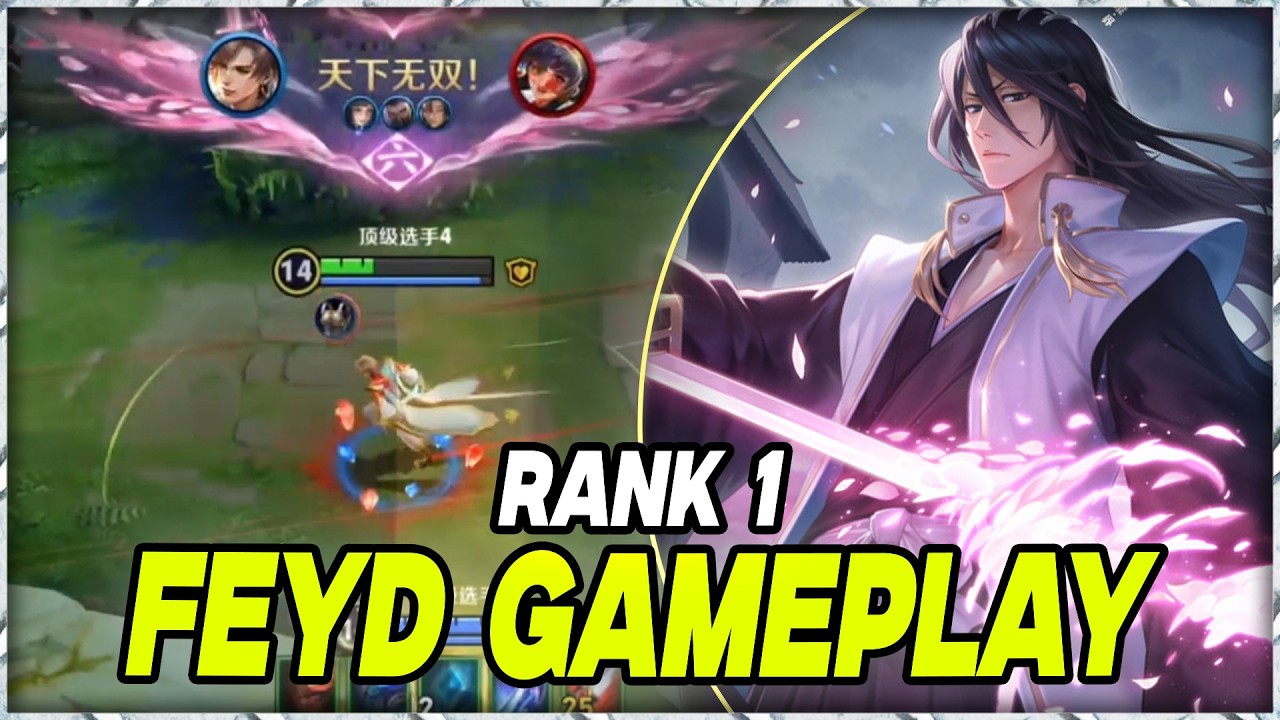FEYD IS LITERALLY BROKEN! 🤯 4,000+ MATCHES TOP 1 CHINA MASTERCLASS (ENGSUB/HOK)