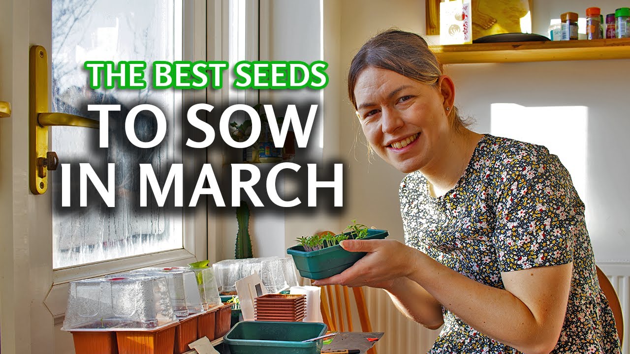 10 Best Seeds to Sow in March for a Huge Harvest (Plus a Surprising Crop!)