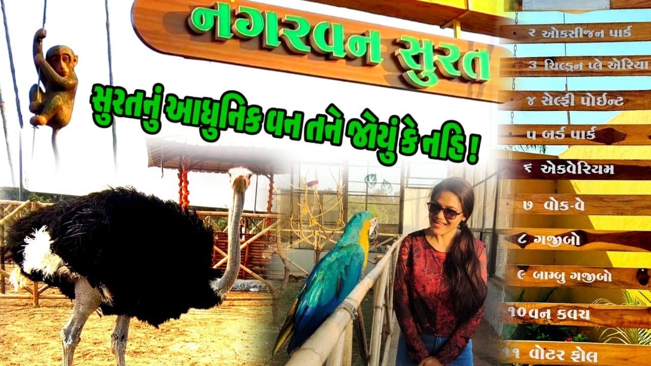 Nagarvan Surat dumas / forest depatment / dumas beach / dummas / ડુમસ દરિયો / નગર વન સુરત જંગલ