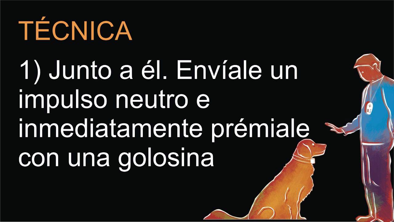 Video 02 - El premio positivo