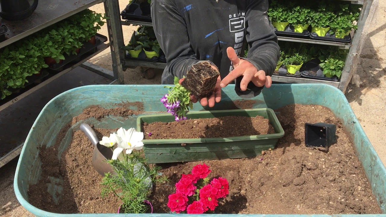 COMMENT PLANTER MES FLEURS EN JARDINIERE