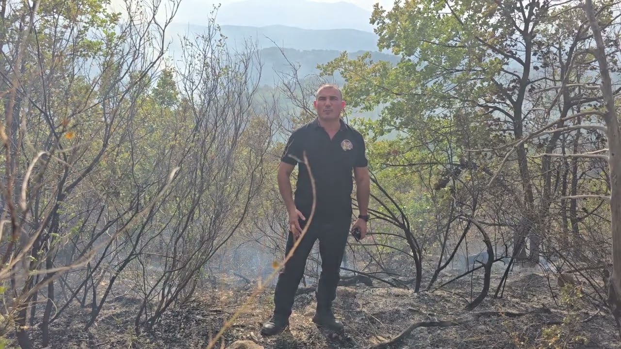 Пладневна изјава, пожари, Ангелов, 06.09.2024
