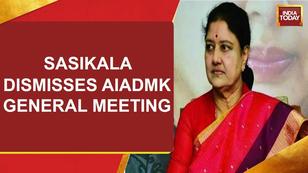 Sasikala Backs O Pannerselvam, Dismisses E Palaniswami's Appointment As AIADMK General Secretary