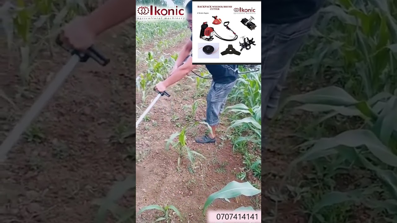 BACK PACK BRUSH CUTTER/ WEEDER// IKONIC LIMITED