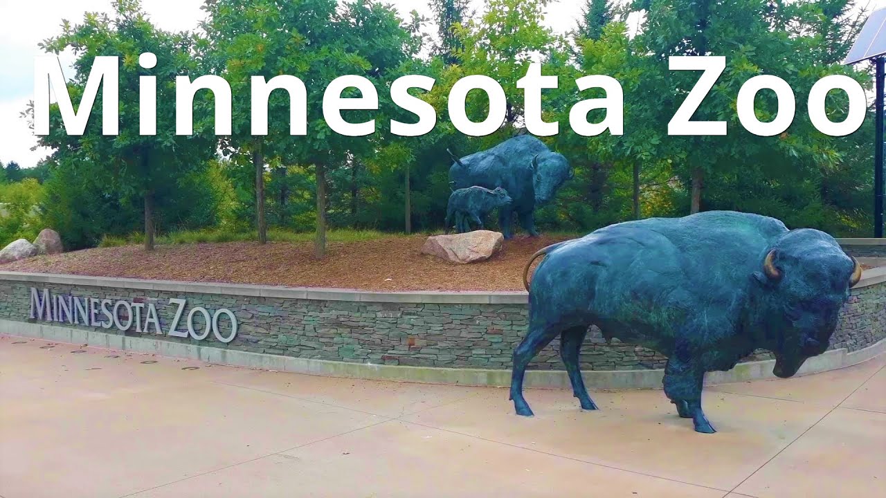 Minnesota Zoo in Apple Valley, Minnesota 🇺🇸