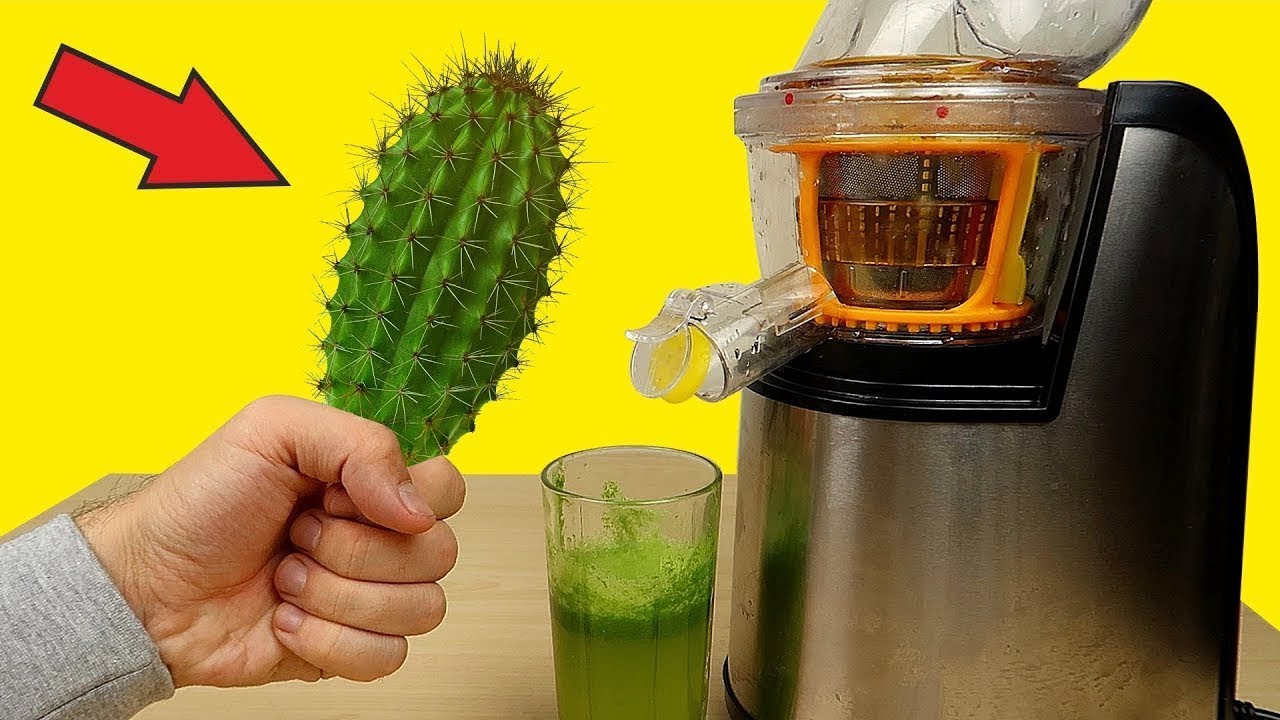 ¡JUGO DE CACTUS...POBRE EXPRIMIDORA! PRUEBO SU SABOR