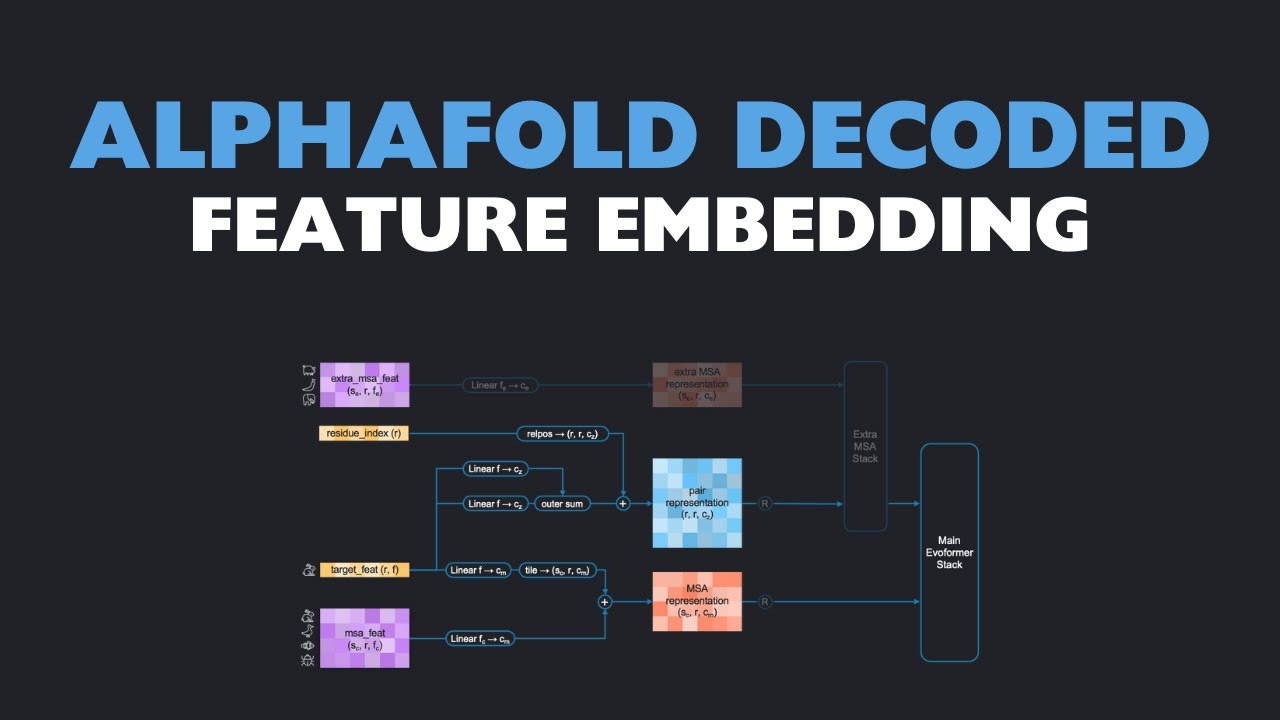 AlphaFold Decoded: Feature Embedding (Lesson 6)