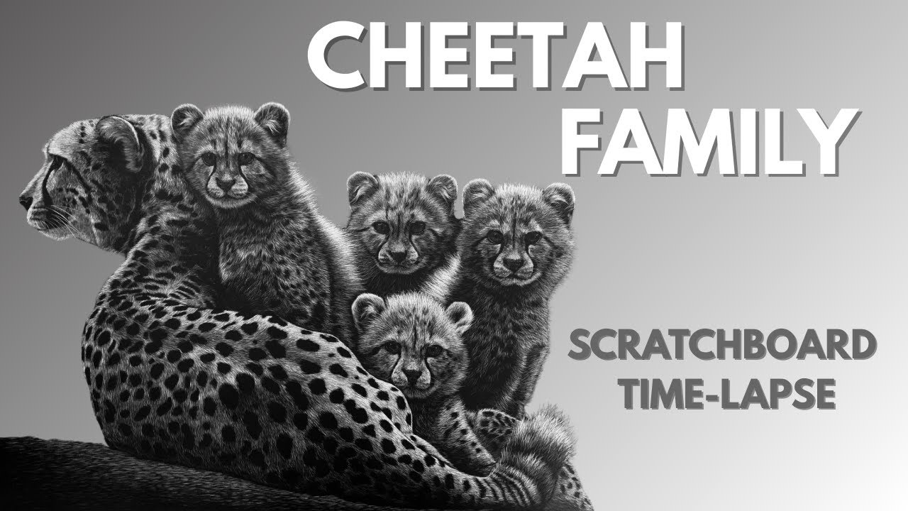 Cheetah Family Scratchboard  Time-lapse