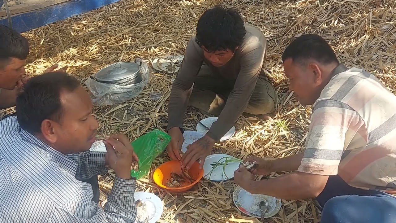 ថ្ងៃណាក៏ហូបបាយឆ្ងាញ់ដែលបានមកតាមវាល