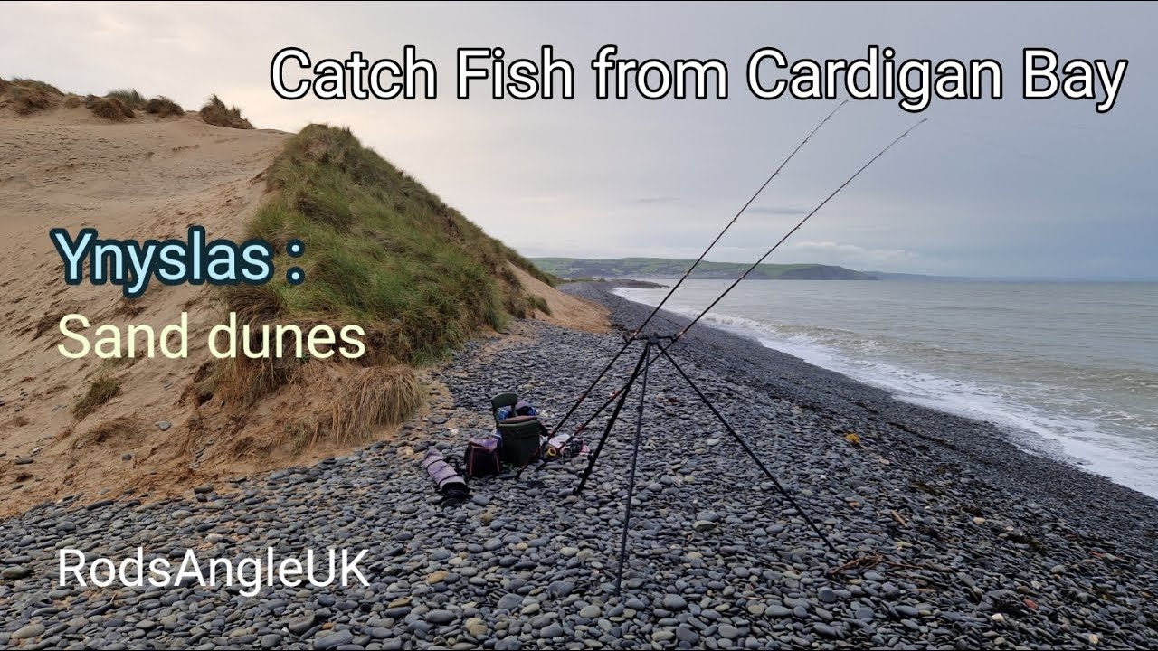 Catch Fish from Cardigan Bay: YNYSLAS SAND DUNES