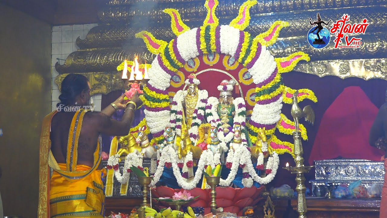 வட்டுக்கோட்டை சங்கரத்தை பிட்டியம்பதி வீரபத்திரர் சமேத பத்திரகாளி அம்பாள் கோவில் எட்டாம்திருவிழா பகல்