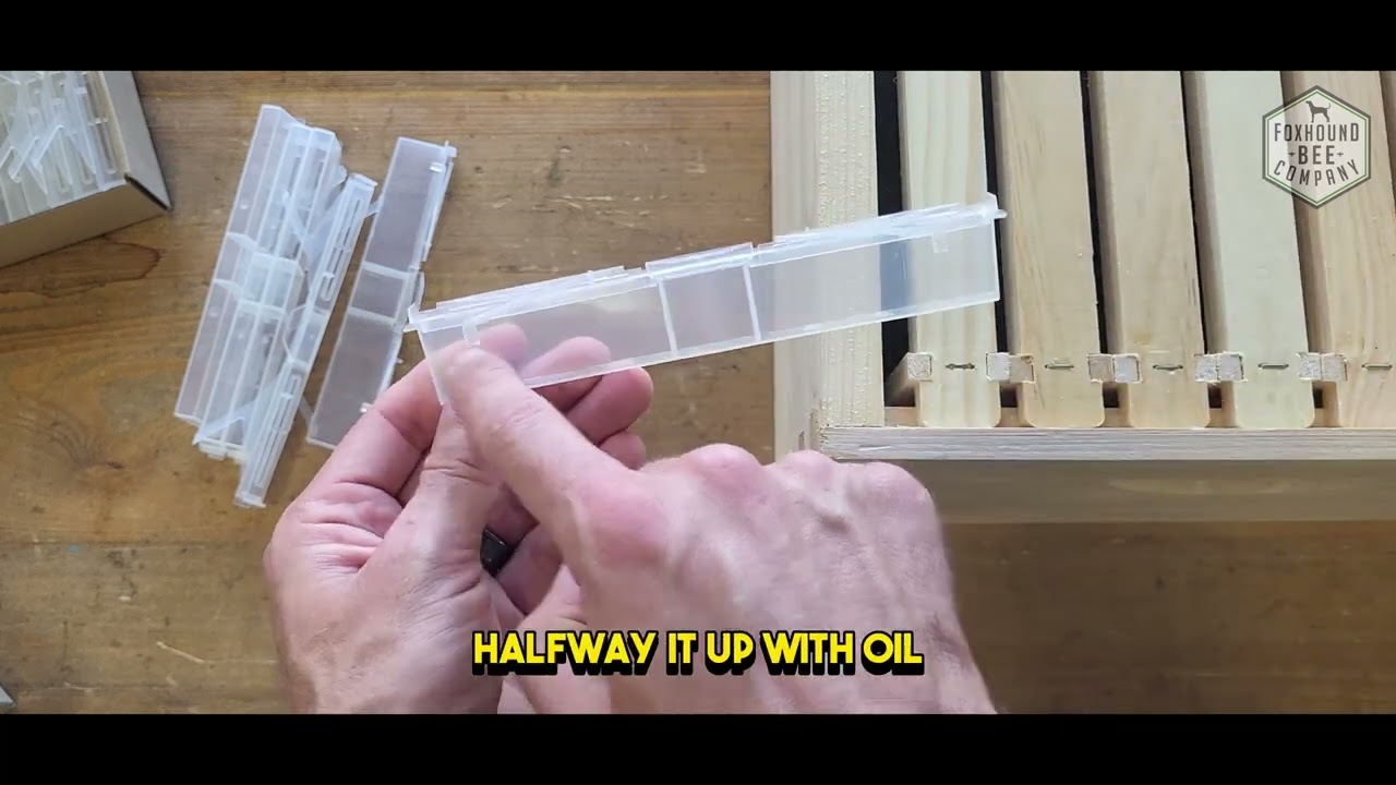 All About the Beetle Jail For SHB: How To Use, Where To Place It, How It Catches Small Hive Beetles
