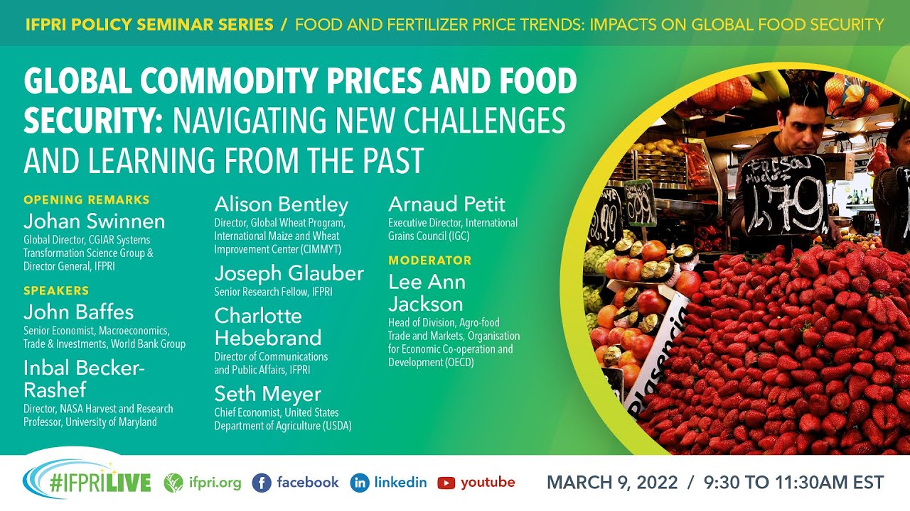 Global commodity prices and food security: Navigating new challenges and learning from the past