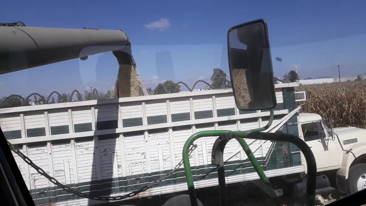 Cosechando maiz antílope 18 ton/ha