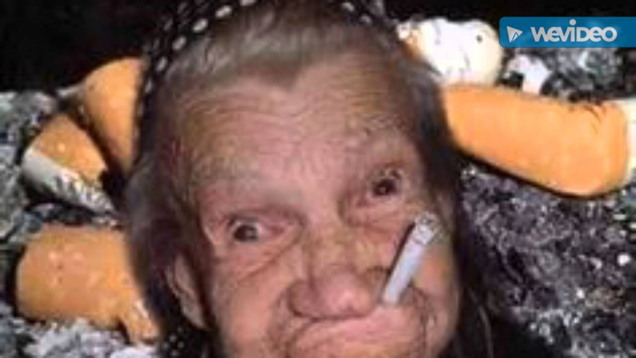 Grappige Foto's