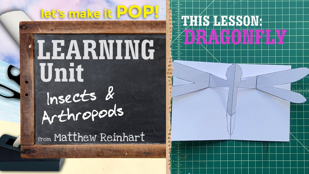 DIY Learning Unit: Insects and Arthropods:Dragonfly from Matthew Reinhart