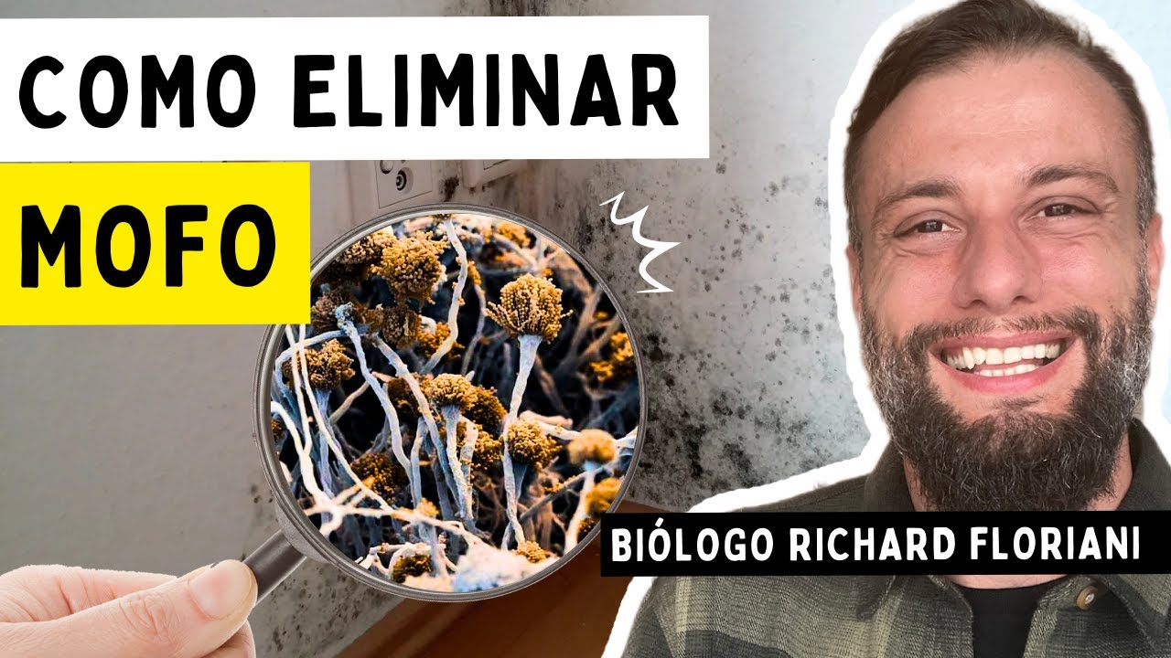 Como ACABAR COM MOFO na parede de vez! (Dicas de Biólogo)