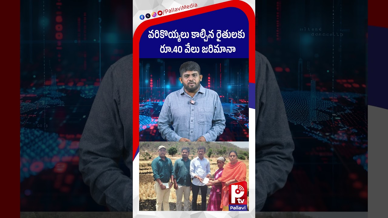వరికొయ్యలు కాల్చిన రైతులకు | Alert for Farmers | Telangana News | Pallavi TV