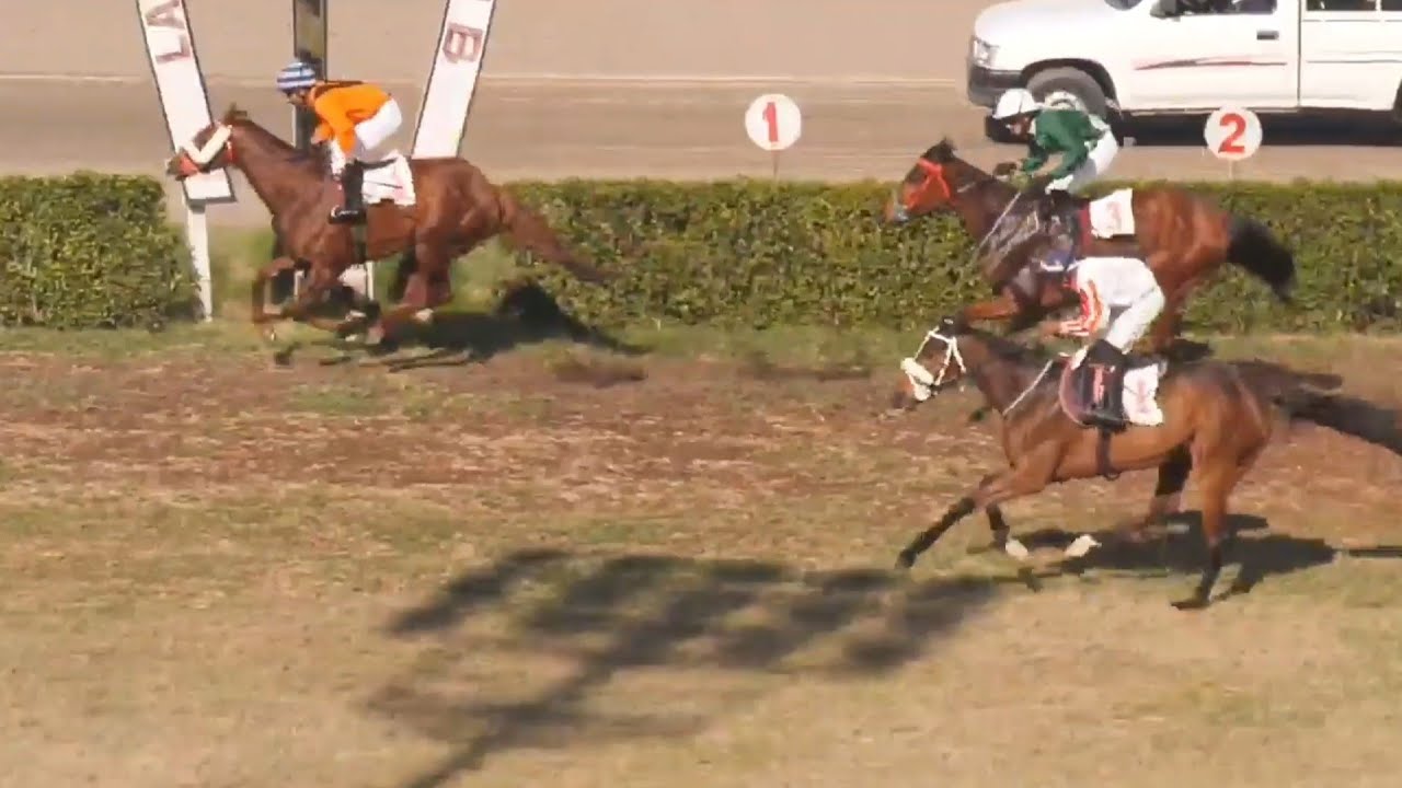 3rd Race 1100 Meter Winner Lex Lugar | Ridden By Jockey Shahbaz Ahmed Trained By M. Afzal |