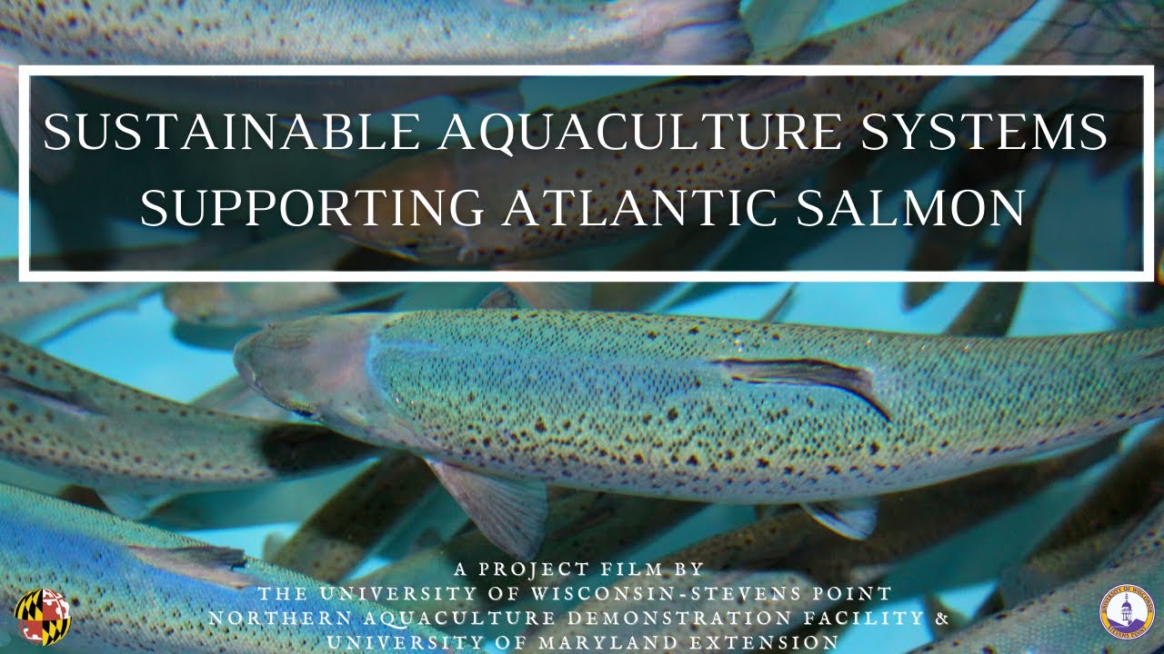 Sustainable Aquaculture Systems: Supporting Atlantic Salmon