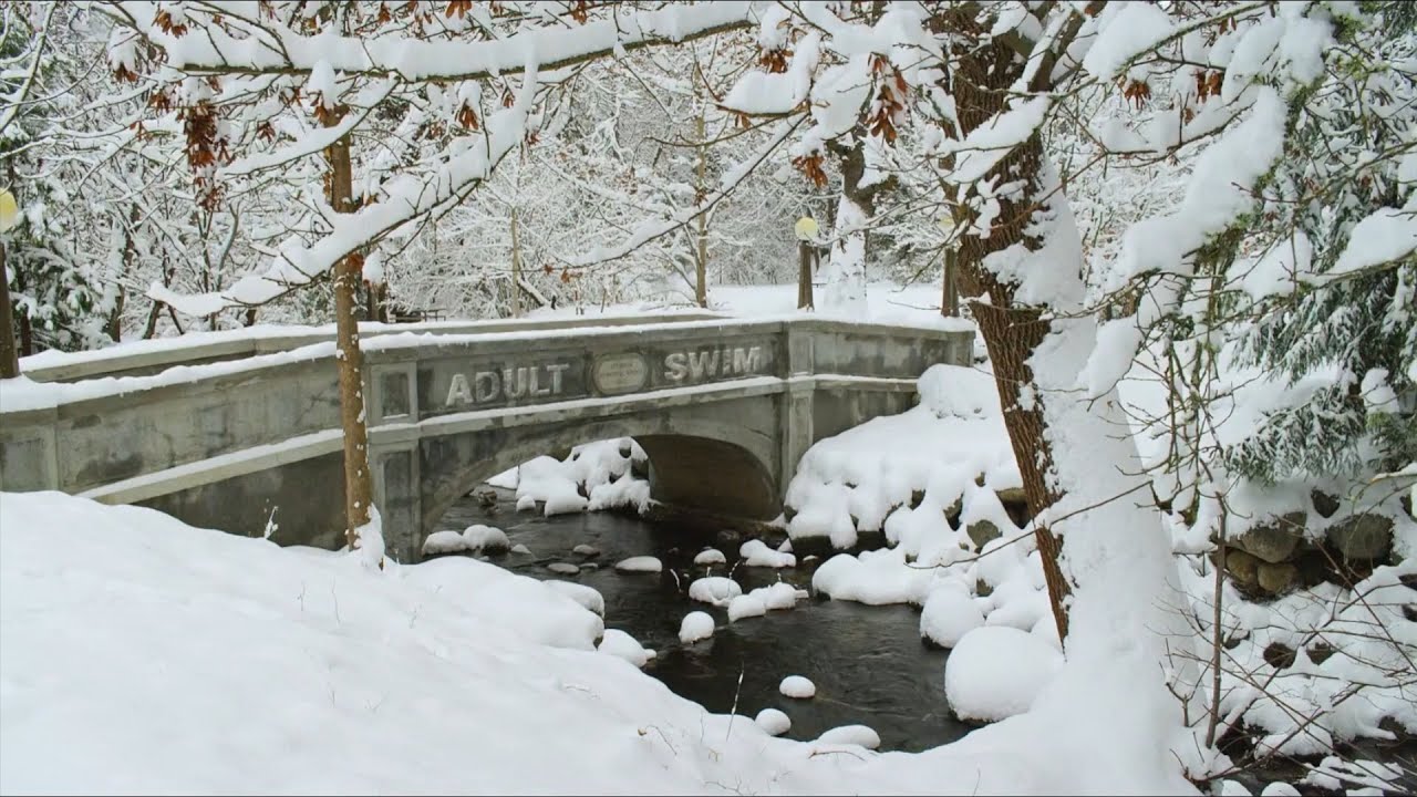 Adult Swim Bumps: December 30, 2021