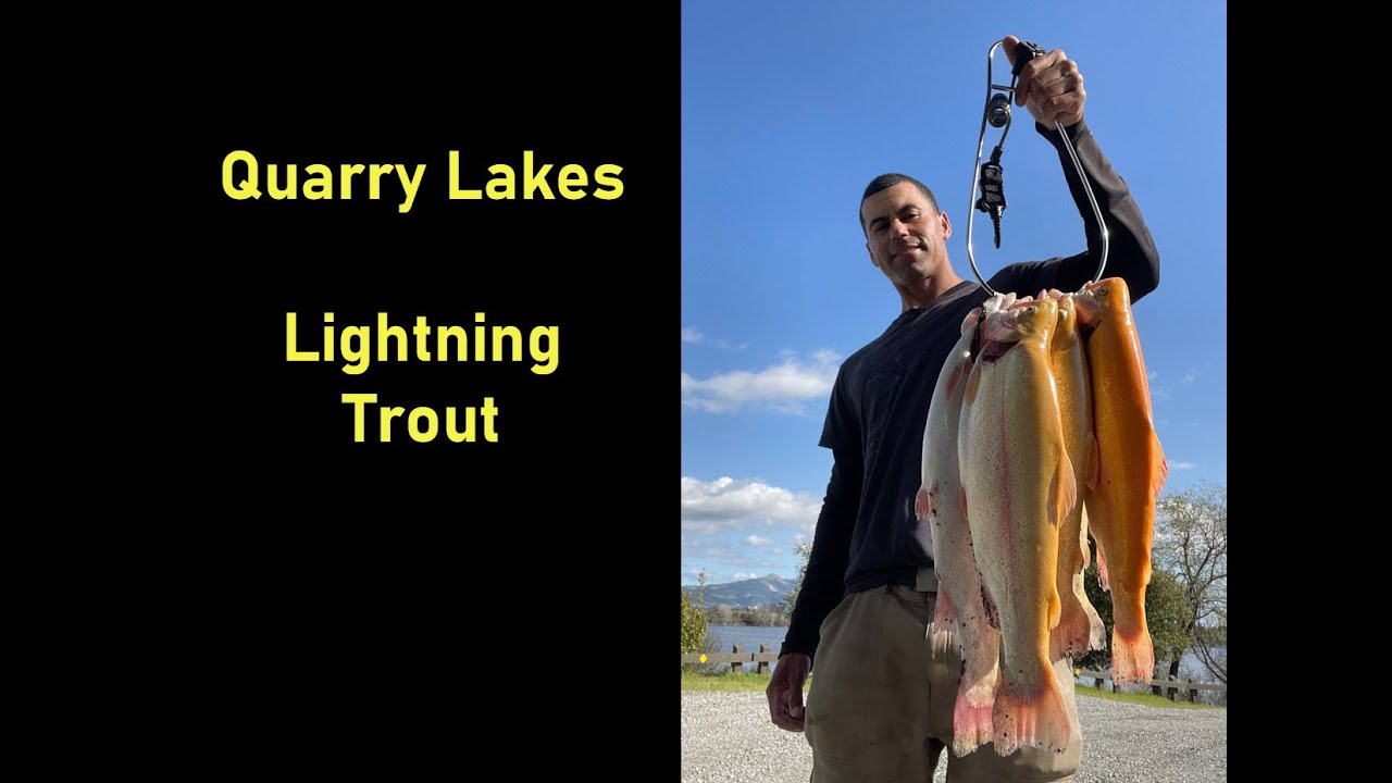 Lightning Trout Hot Bite at Quarry Lakes