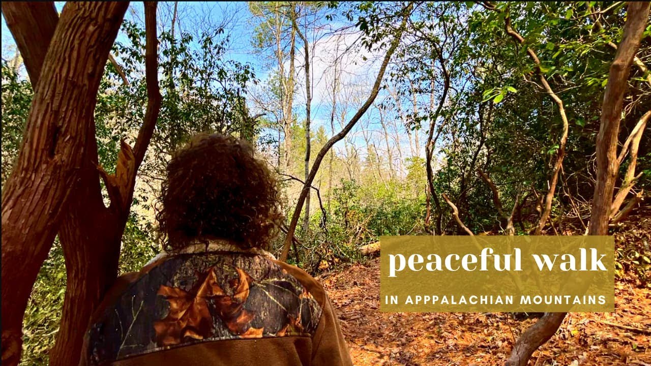 Mountain Walk  - Water Sounds, Stress Relief, Calming Sounds from the Forest