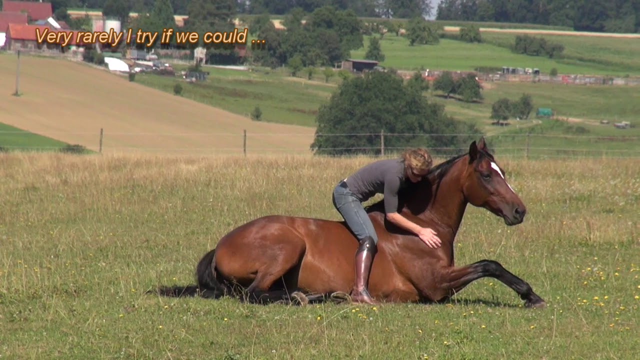 Susanne Lohas and her horses - liberty dressage outside