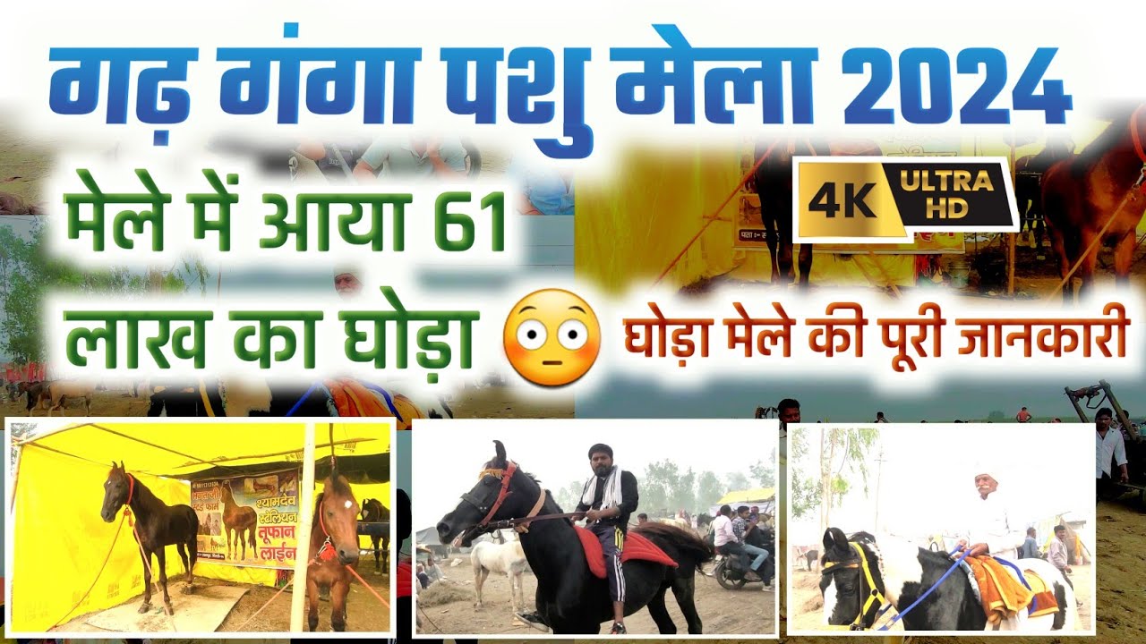 Garh Ganga Ghoda Mela | 61 लाख का घोड़ा 😳 | Crazy Amit Jogi | गढ़ घोड़ा मेला