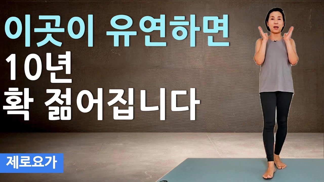 중년이후 노화를 막으려면 이운동 꼭하세요, 중년 뱃살 빼는 최고의 운동 / home strength workout | 제로요가 Joanne