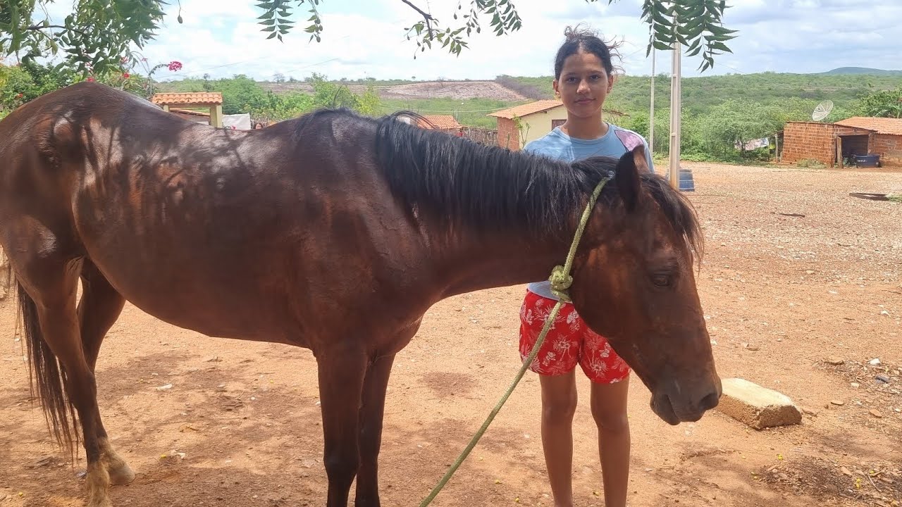 Hoje é aniversário da Maria olha oque ela ganhou 