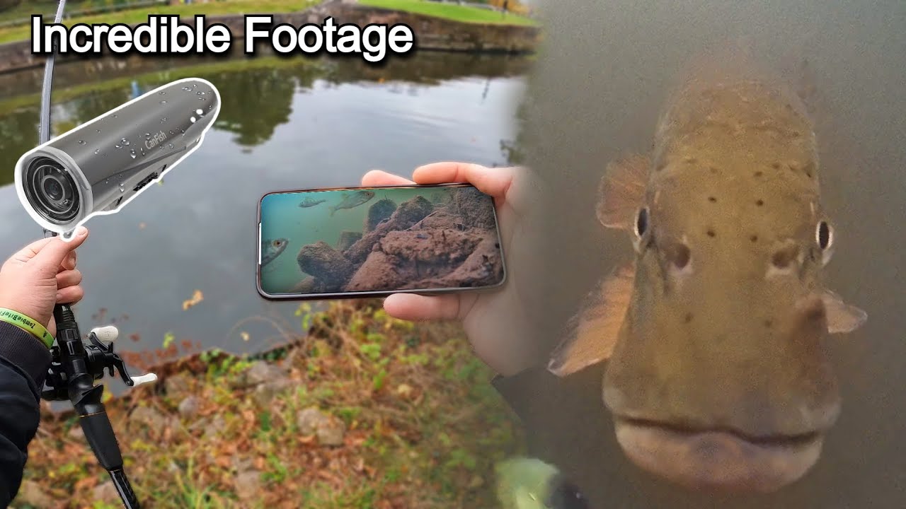 Я не ожидал, что эта камера засняла под водой... Canfish Fishing Cam X