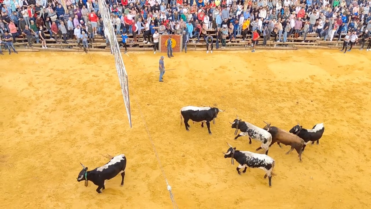 Encierro La Peza 12/10/2022