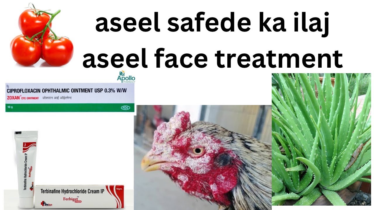 aseel safede ka best ilaj / aseel face fungal infection treatment 