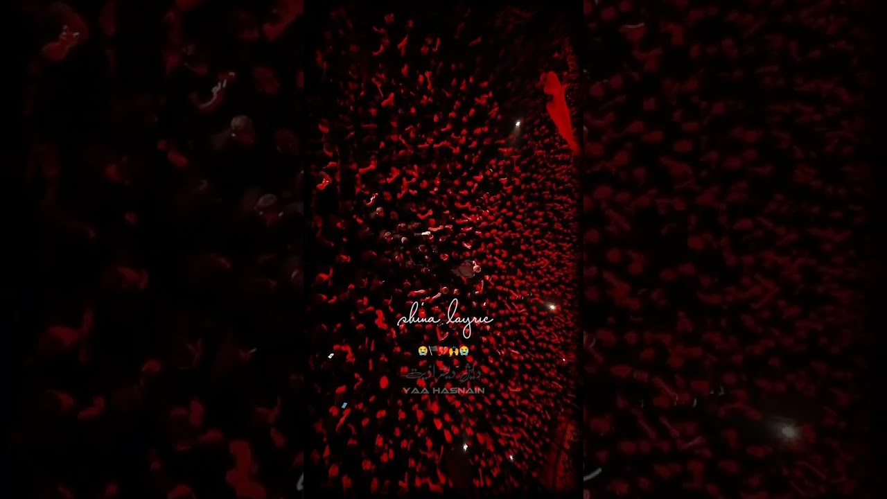 #shinanoha #muharram #shortvideos #yahussian #islamicstatus #fypシ゚viral #fyp #trending