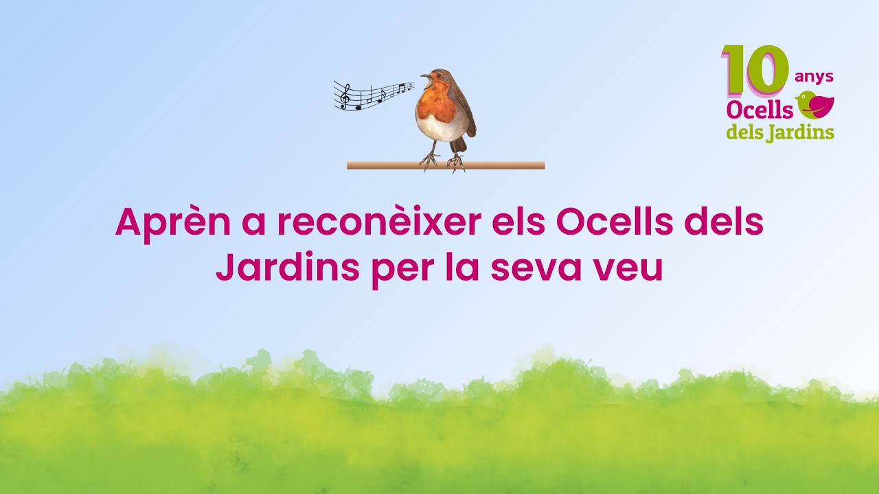 Aprèn a reconèixer els ocells dels jardins per la seva veu