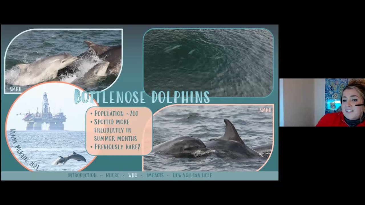 Meet the Scientist - Emily Hague - Marine Mammals in the Firth of Forth