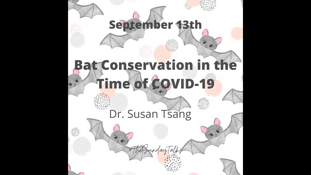 Bats: Keystone taxa to restoring forests and preventing the next pandemic - Dr. Susan M. Tsang
