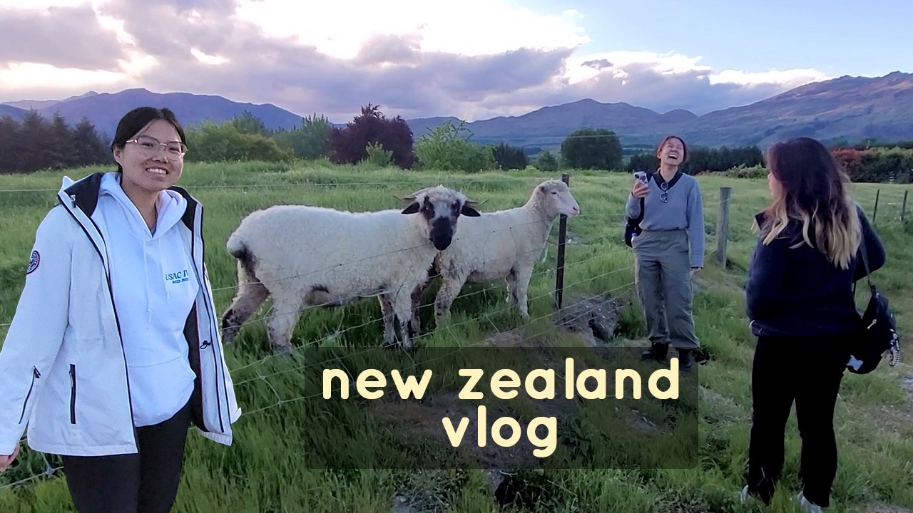 Our Airbnb has Sheep?! | new zealand travel vlog 🐑🏔️