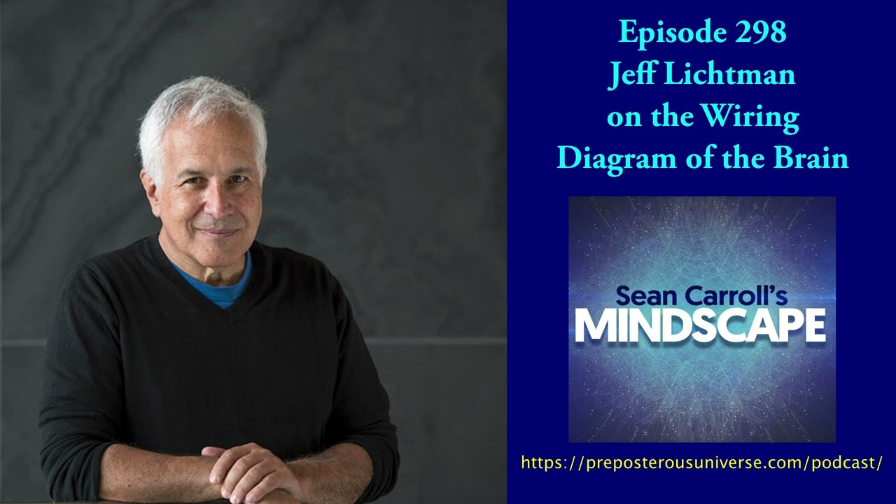 Mindscape 298 | Jeff Lichtman on the Wiring Diagram of the Brain