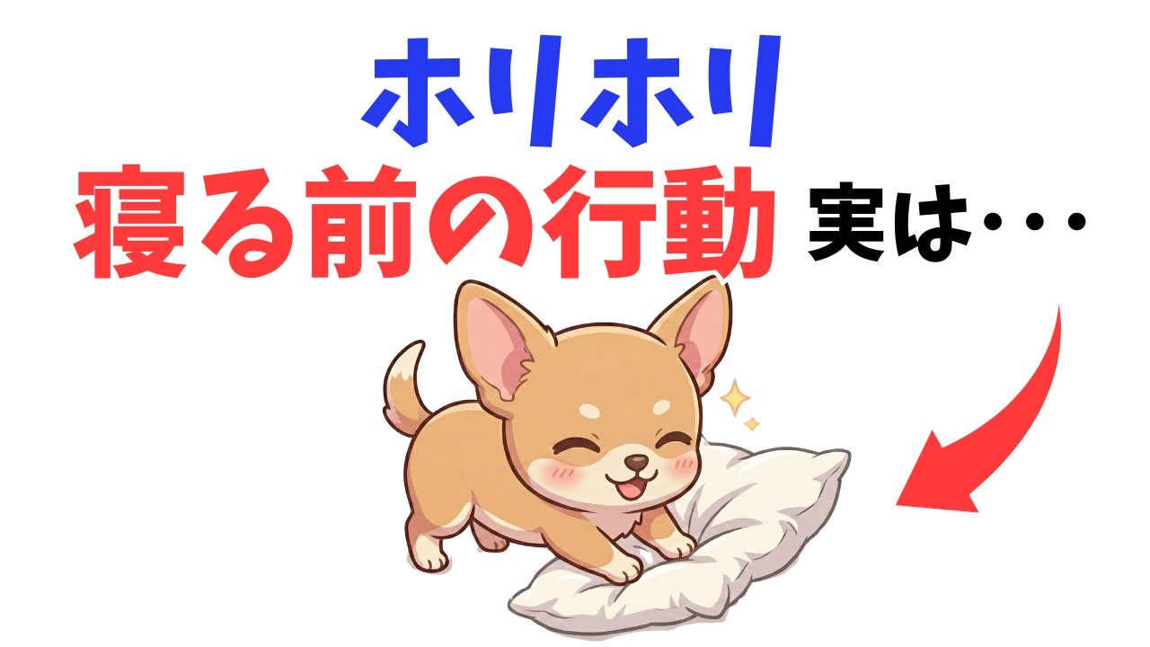 【究極の愛】これをしていたら、あなたは世界一の飼い主です。犬が安心して眠る時にだけ見せる「特別なサイン」10選
