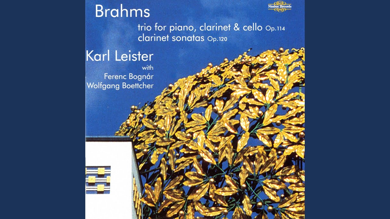 Trio for Piano, Clarinet and Violoncello, Op. 114: I. Allegro