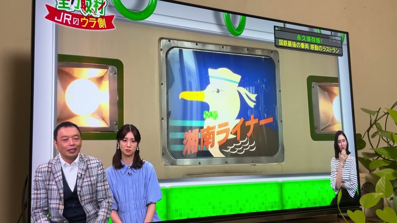 185系最後のヘッドマーク幕回し。#185系 
