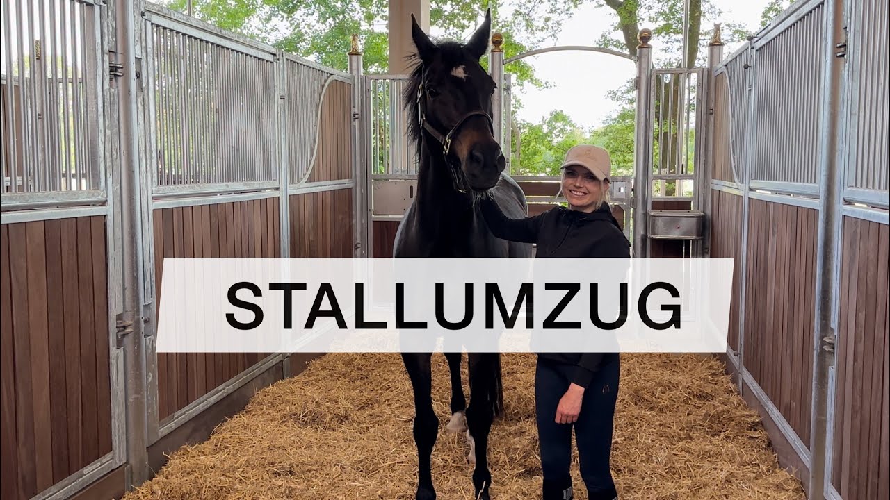Gro&szlig;er Umzug mit allen Pferden | Neuer Stall | FMA Inleobo