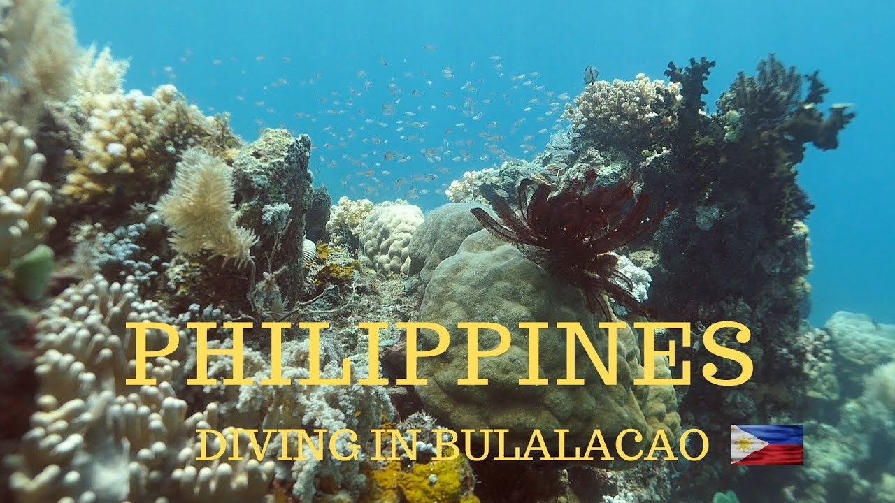 Bulalacao Mindoro - First Time Diving In Bulalacao With Payapa Divers