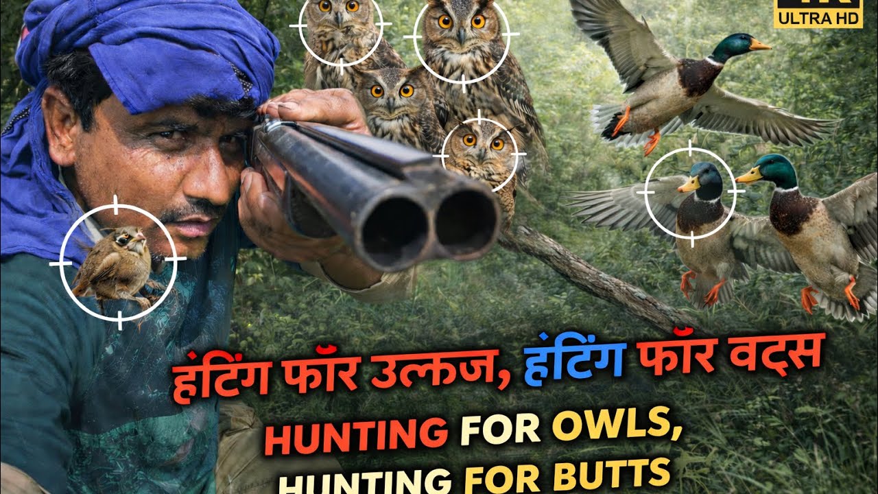 Hunting For Owls 🦉// جنگل مین چمگادڑ کا شکار 